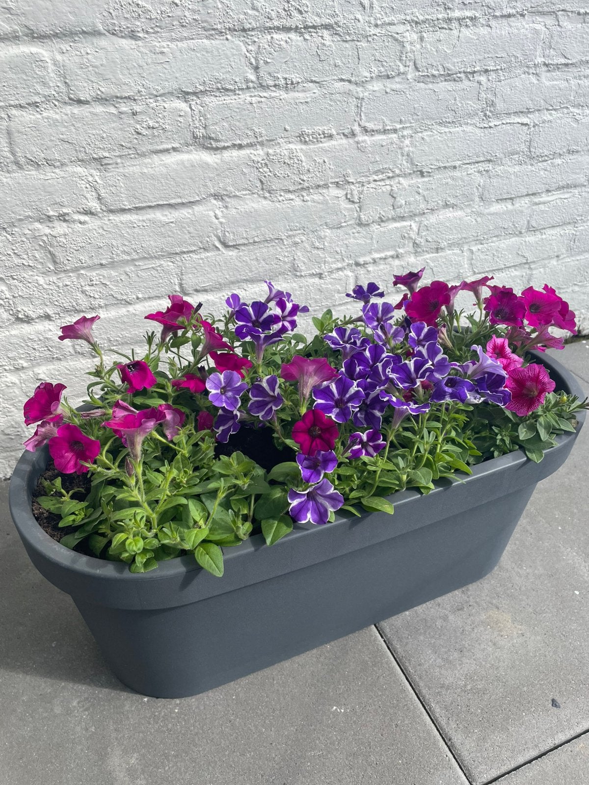 4 plantenbakken balkon, Ophalen, Kunststof, Minder dan 30 cm, Balkon
