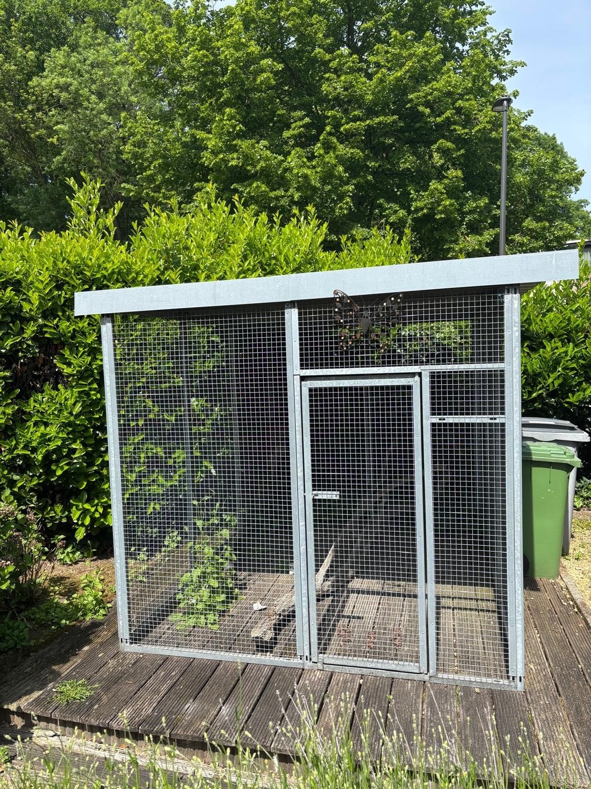 Volière te koop, Dieren en Toebehoren, Ophalen, Gebruikt, Hout, Volière