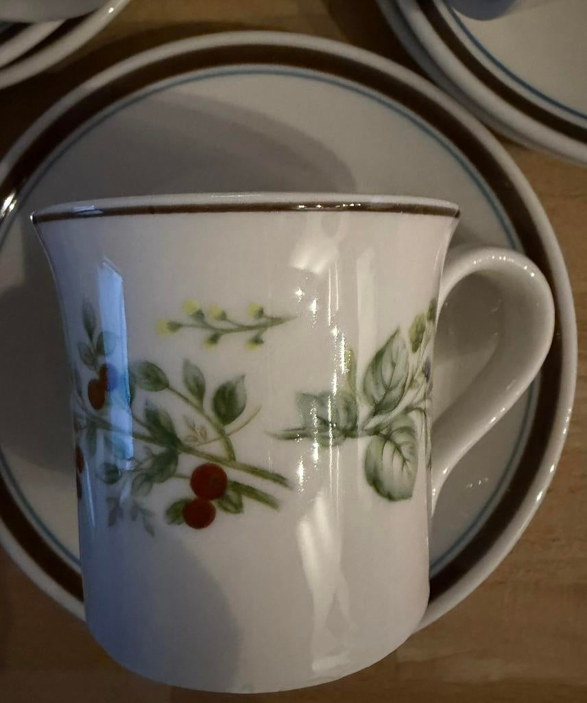 Royal Albert koffieservies Bitter Sweet, Ophalen