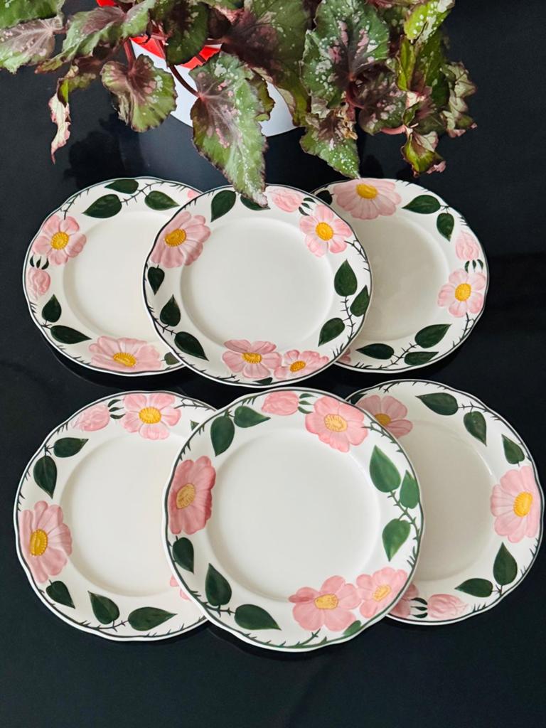 Villeroy & Boch Wild Rose borden 27 cm - set van 6, Ophalen of Verzenden, Zo goed als nieuw, Bord(en), Overige stijlen