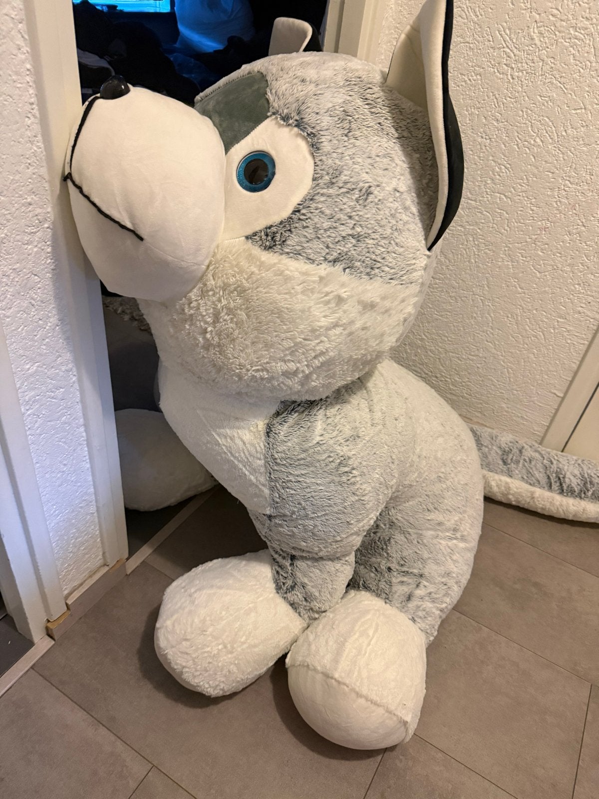 Grote knuffelhond - Husky, Overige merken, Overige karakters, Grijs, Zo goed als nieuw
