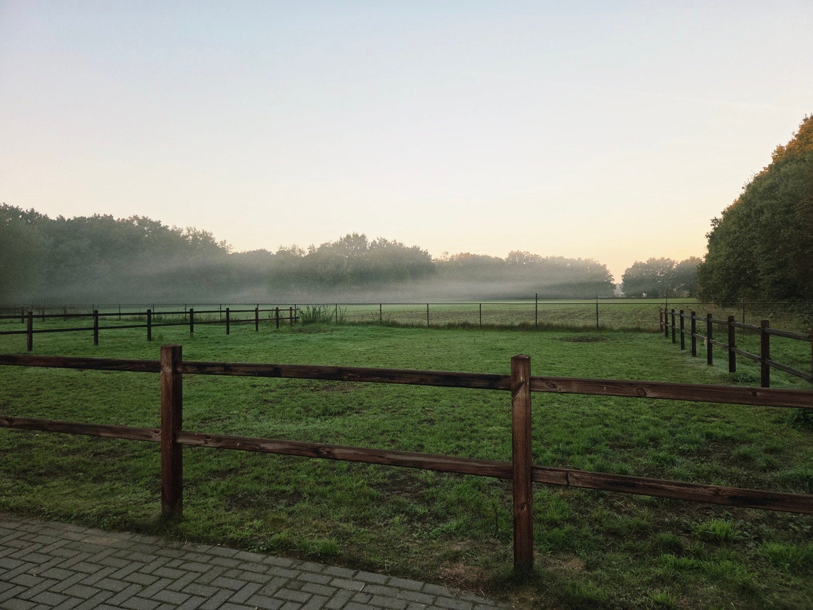 Kleinschalige (Revalidatie) stal, Stalling, 1 paard of pony