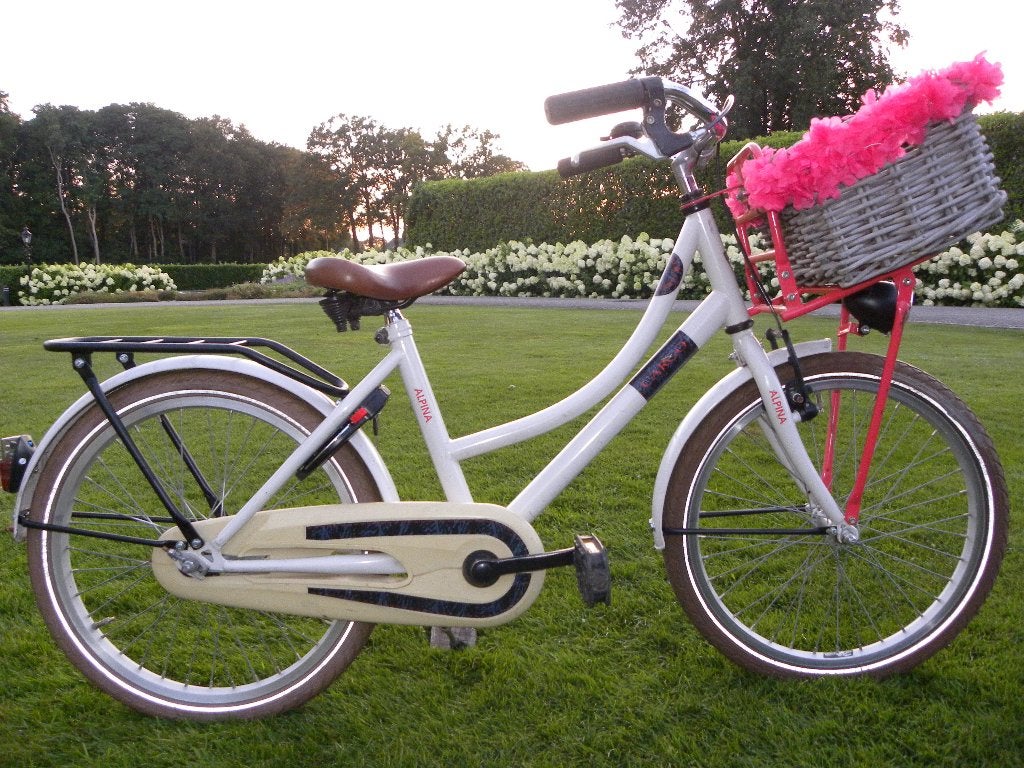 mooie 20'' alpina cargo, Fietsen en Brommers, Fietsen | Meisjes, Ophalen, Terugtraprem, Gebruikt, Alpina
