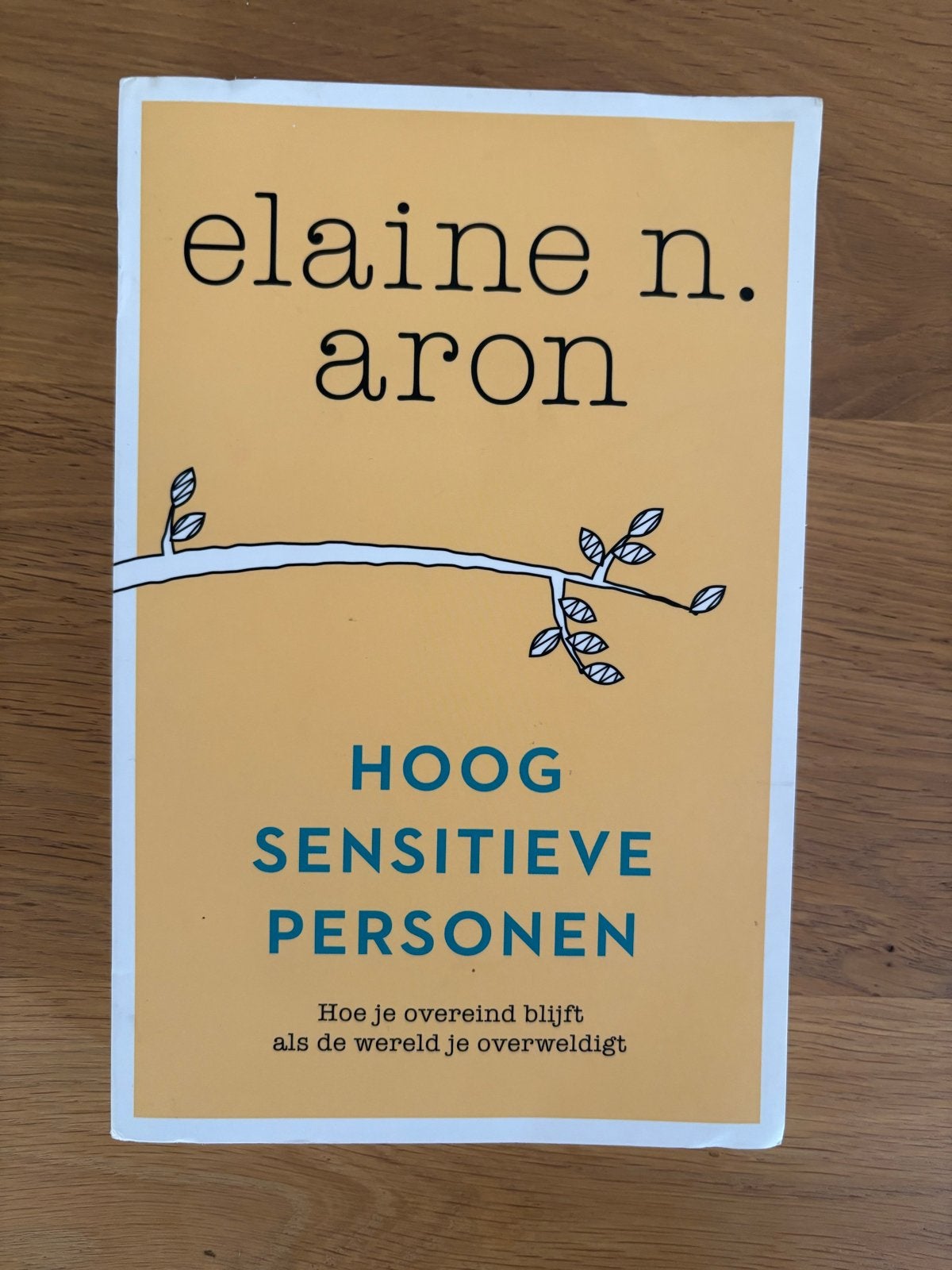 Hoogsensitieve Personen - Elaine N. Aron, Ophalen of Verzenden, Zo goed als nieuw, Klinische psychologie