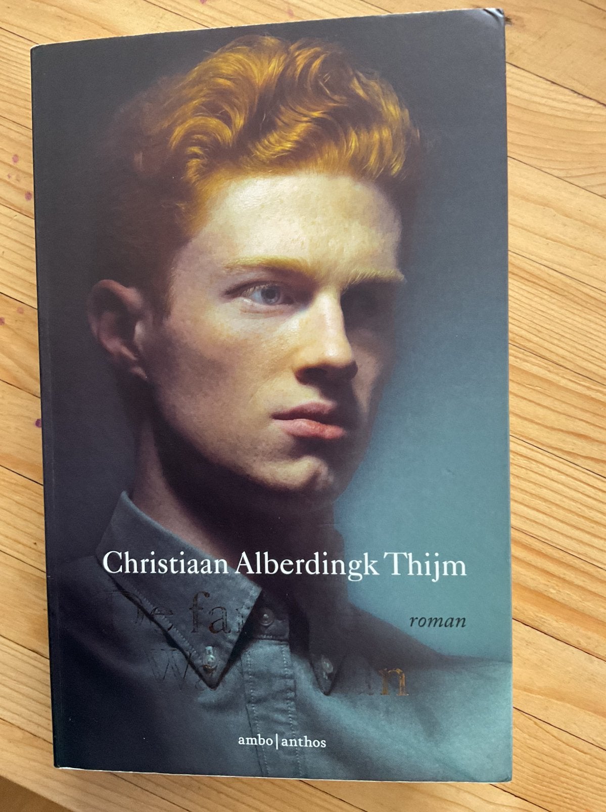 Christiaan Alberdingk Thijm - De familie Wachtman, Ophalen of Verzenden, Zo goed als nieuw, Christiaan Alberdingk Thijm