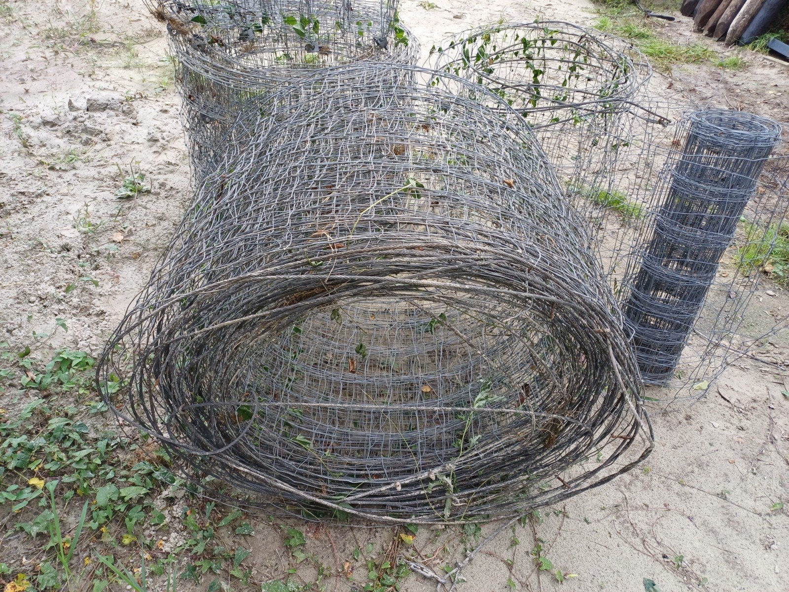 Gaas 80 cm hoog, ca. 175-200 meter lang, Ophalen of Verzenden