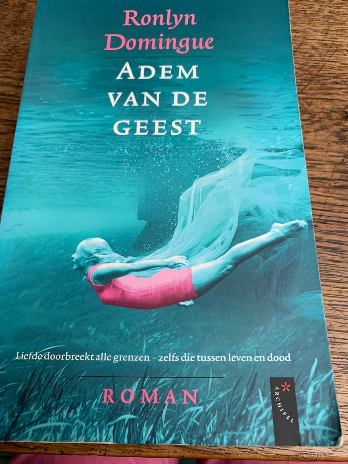 Ronlyn Domingue: Adem van de geest, Boeken, Ophalen of Verzenden, Zo goed als nieuw