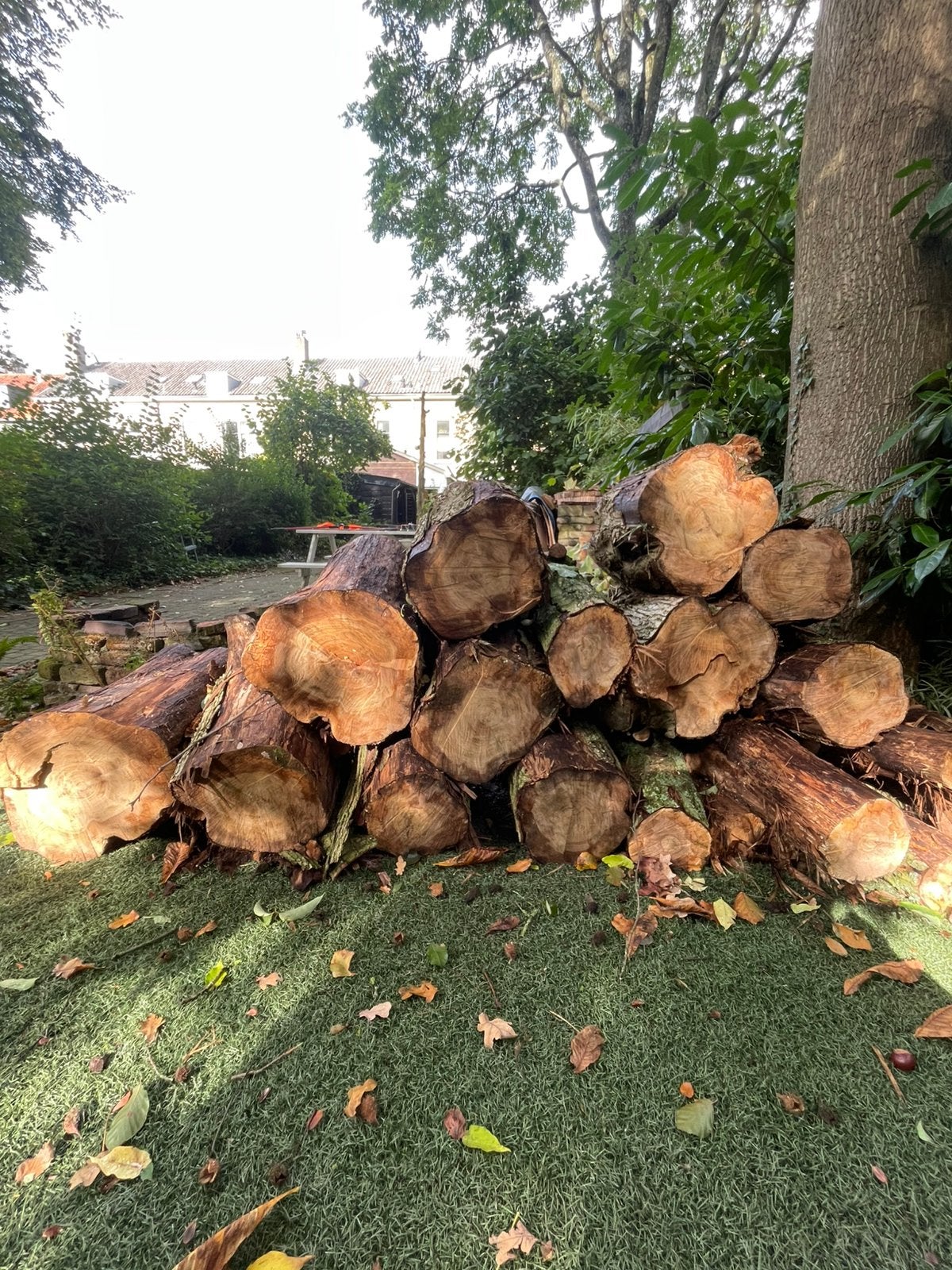 Hout haardhout boomstammen, Tuin en Terras, Minder dan 3 m³, Ophalen, Stammen