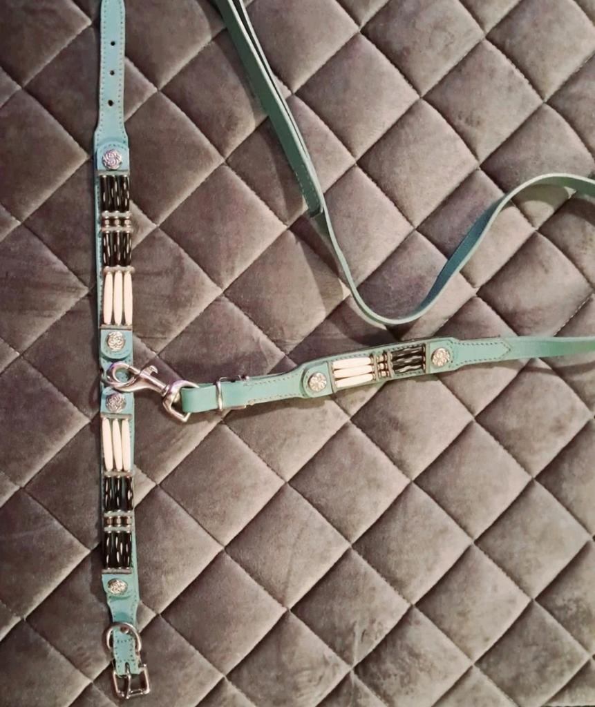 Halsband en riem, echt leer, Ophalen of Verzenden, Gebruikt, Hondenriem