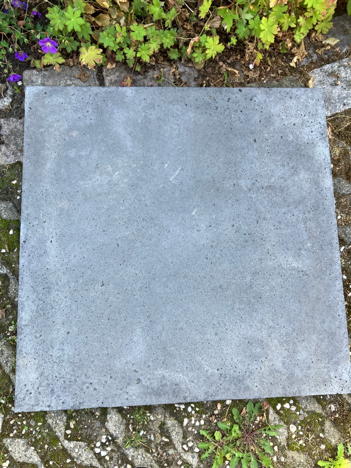 Schellevis tegel 80x80 cm, antraciet, Ophalen, Zo goed als nieuw, Minder dan 5 m², Beton