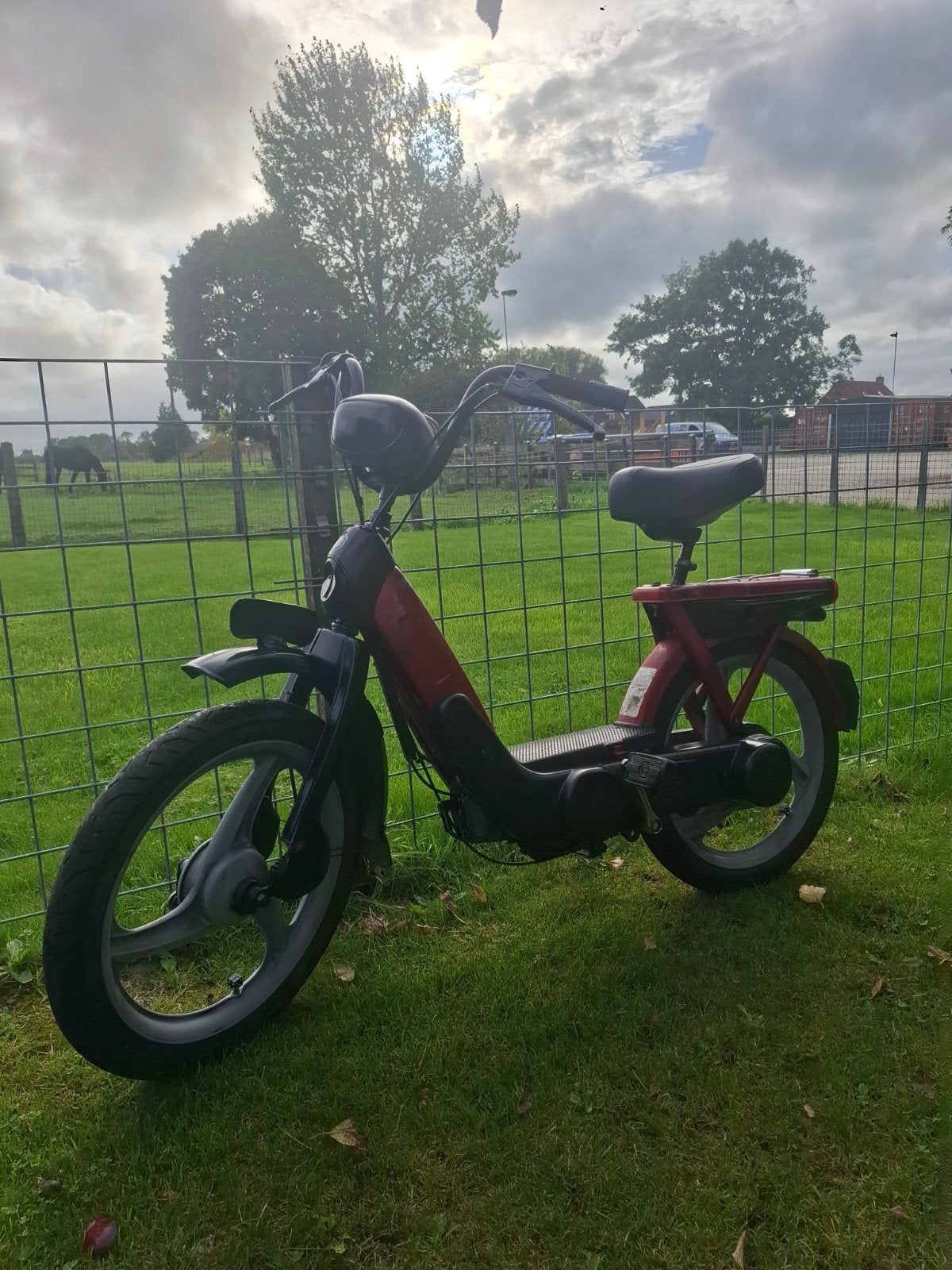 vespa ciao blauw kenteken, Ophalen, Gebruikt, Tweetakt, Vespa