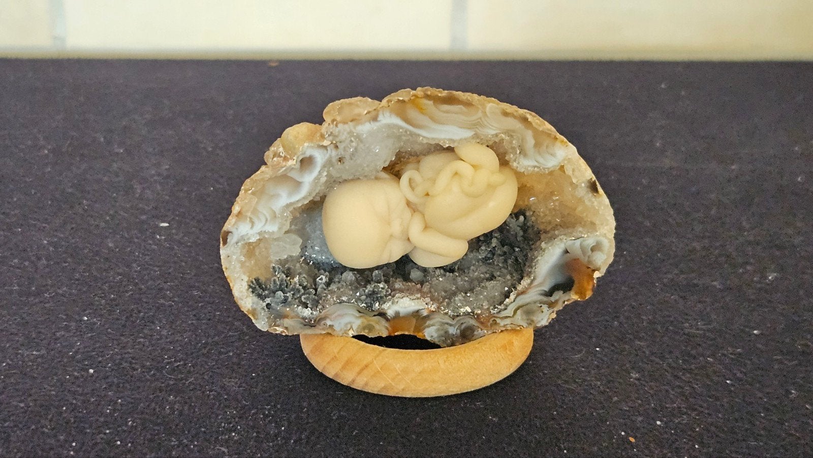 Natuursteentje met embryo, Ophalen of Verzenden