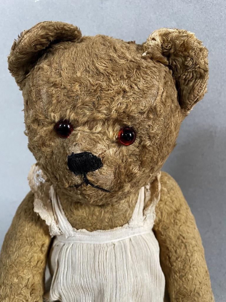 Antieke Nederlandse Teddy beer gevuld met houtkrullen, Ophalen of Verzenden