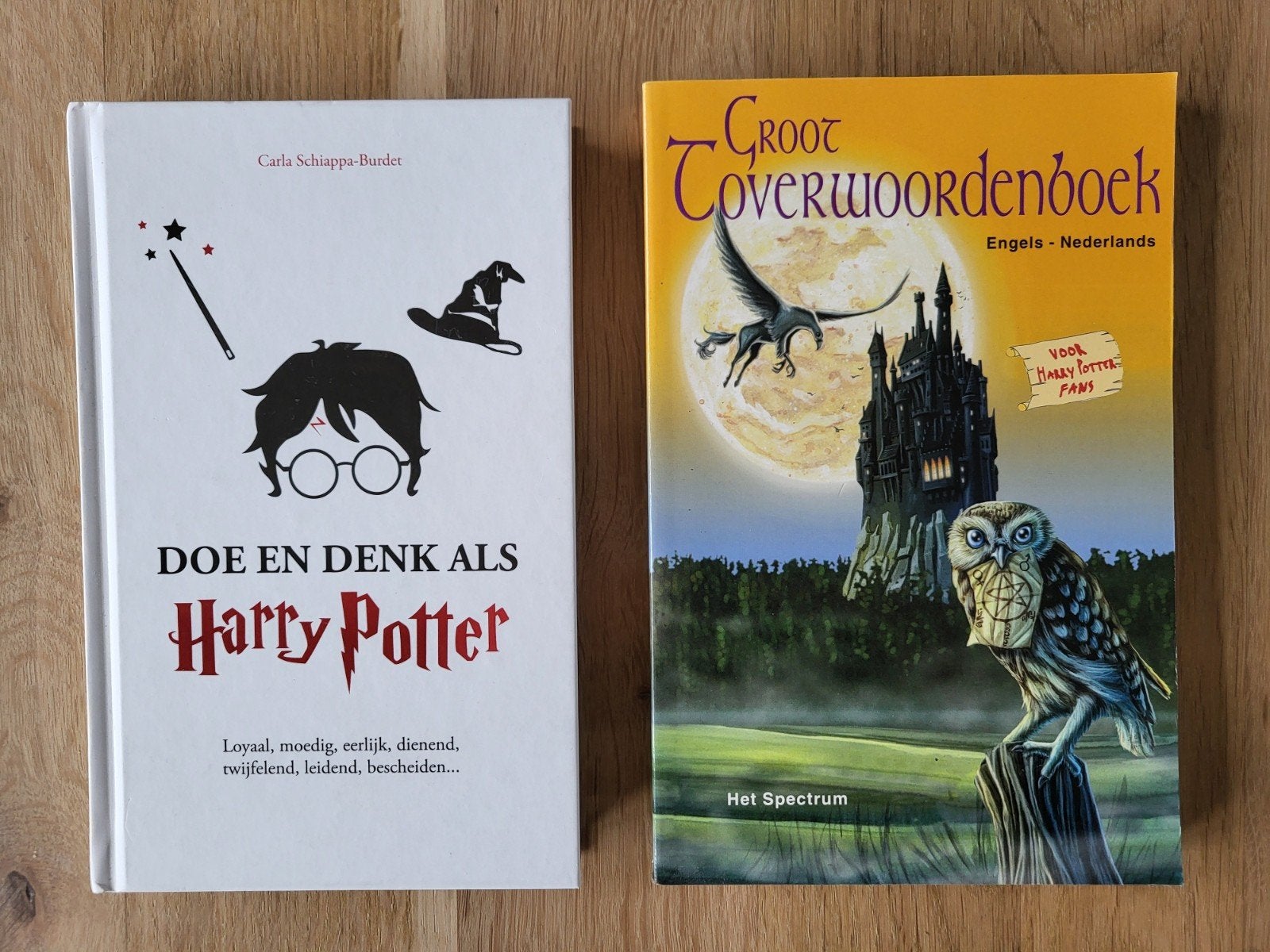 Doe en Denk als Harry Potter & Groot toverwoordenboek, Ophalen of Verzenden, Zo goed als nieuw, Boek of Poster