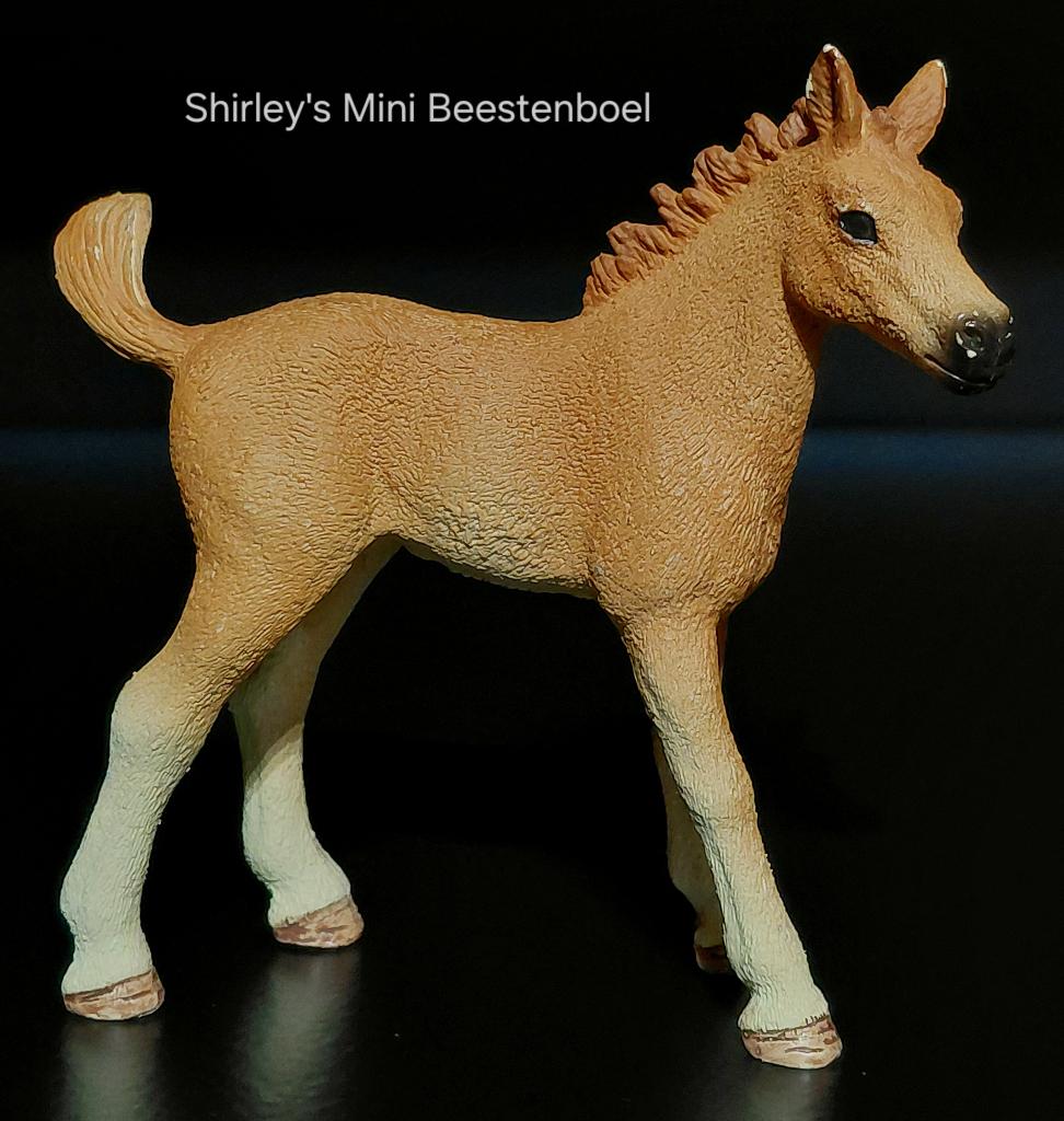 schleich quarter horse veulen, Ophalen of Verzenden, Gebruikt, Paard, Beeldje of Figuurtje