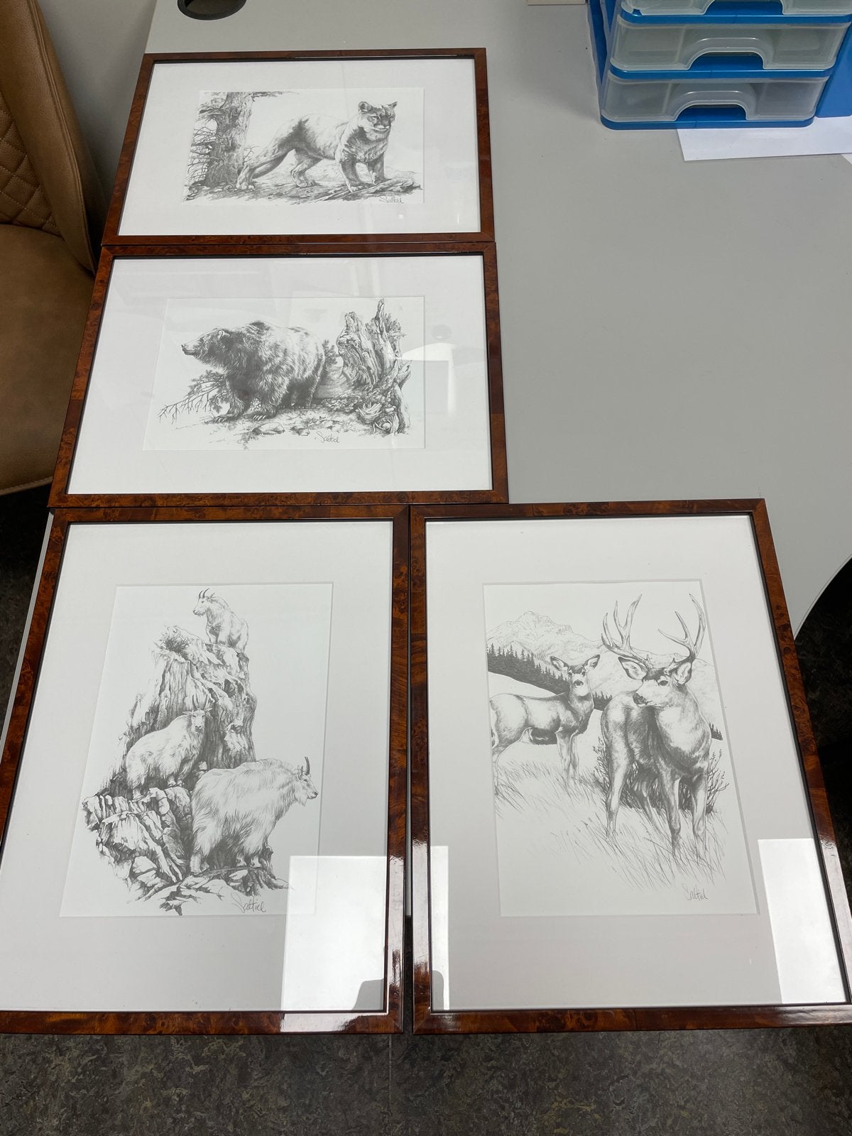 4 ingelijste tekeningen van wilde dieren, gesigneerd, Antiek en Kunst, Kunst | Tekeningen en Foto's, Ophalen of Verzenden, Tekening