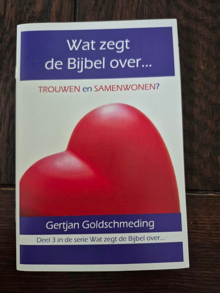 Wat zegt de Bijbel over trouwen en samenwonen? Goldschmeding, Ophalen of Verzenden, Zo goed als nieuw, G.J. Goldschmeding