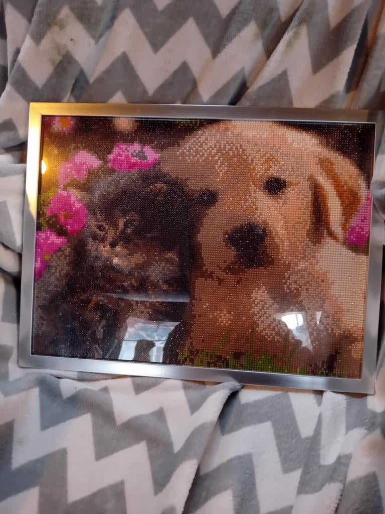 Diamond painting schilderij hondje en poesje, Ophalen of Verzenden, Nieuw, Knutselwerk