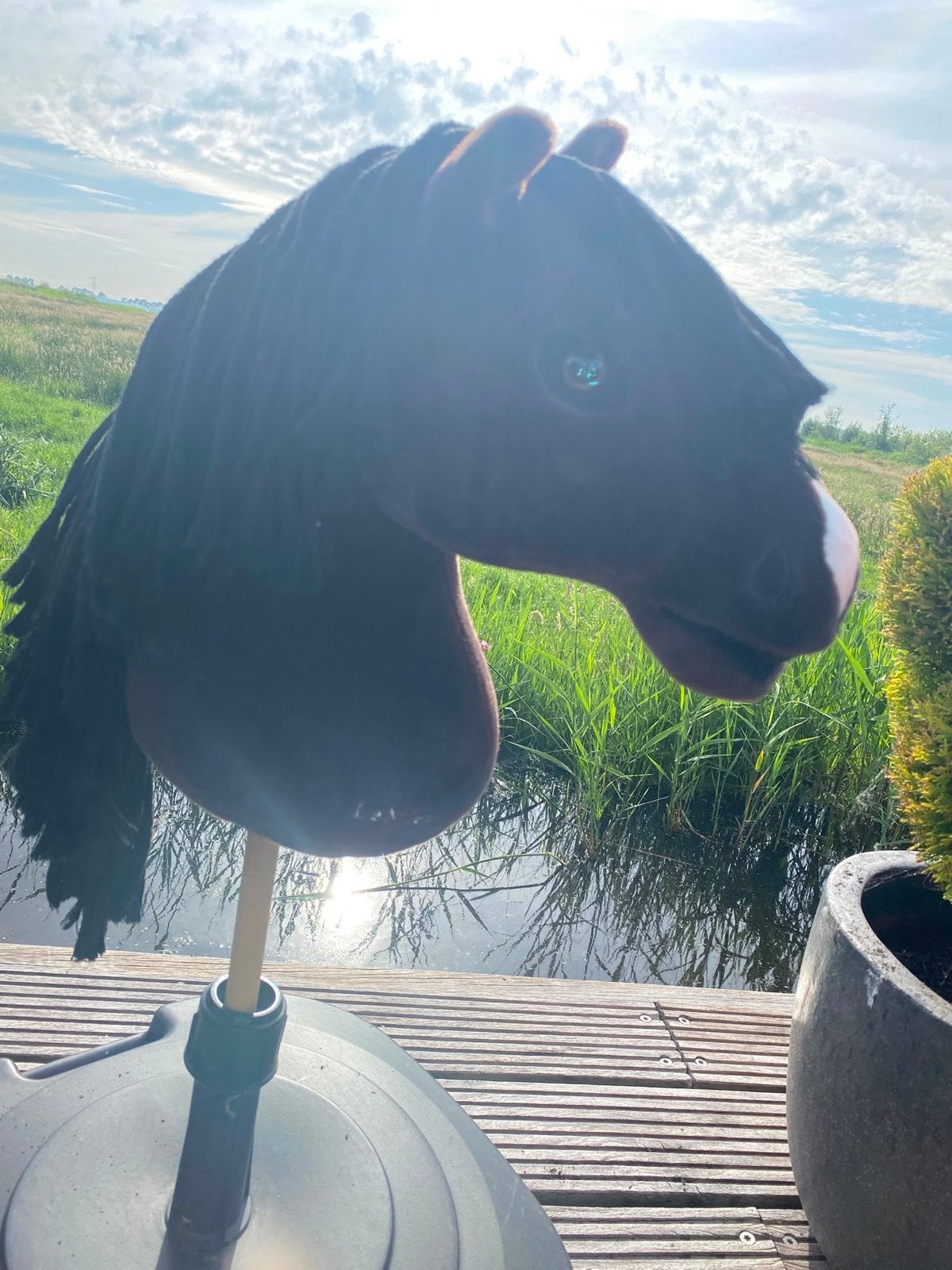Hobby Horse / Stokpaard Lemieux Valegro, Ophalen of Verzenden, Zo goed als nieuw, Jongen of Meisje