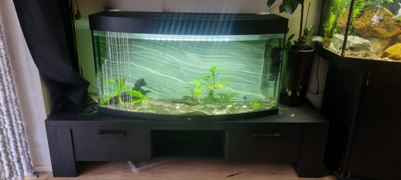 Juwel vision 260, Dieren en Toebehoren, Vissen | Aquaria en Toebehoren, Ophalen, Gebruikt, Leeg aquarium