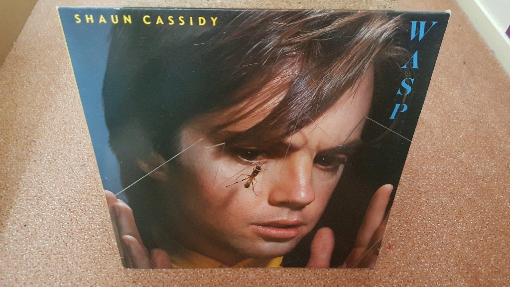 SHAUN CASSIDY - WASP (1980) (LP), LP, Pop, Ophalen of Verzenden, Zo goed als nieuw