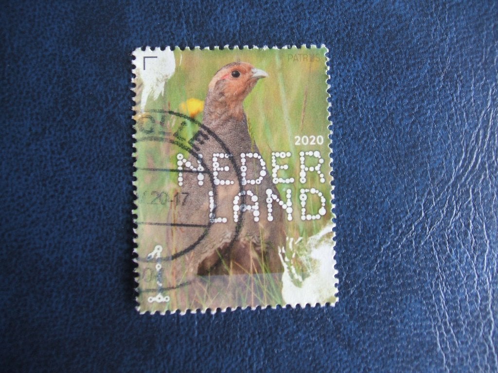 Nederland 14, Ophalen of Verzenden, Na 1940, Gestempeld