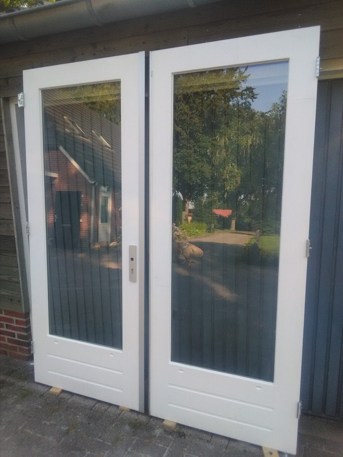 Tuindeuren, Ophalen, Gebruikt, Buitendeur, Glas