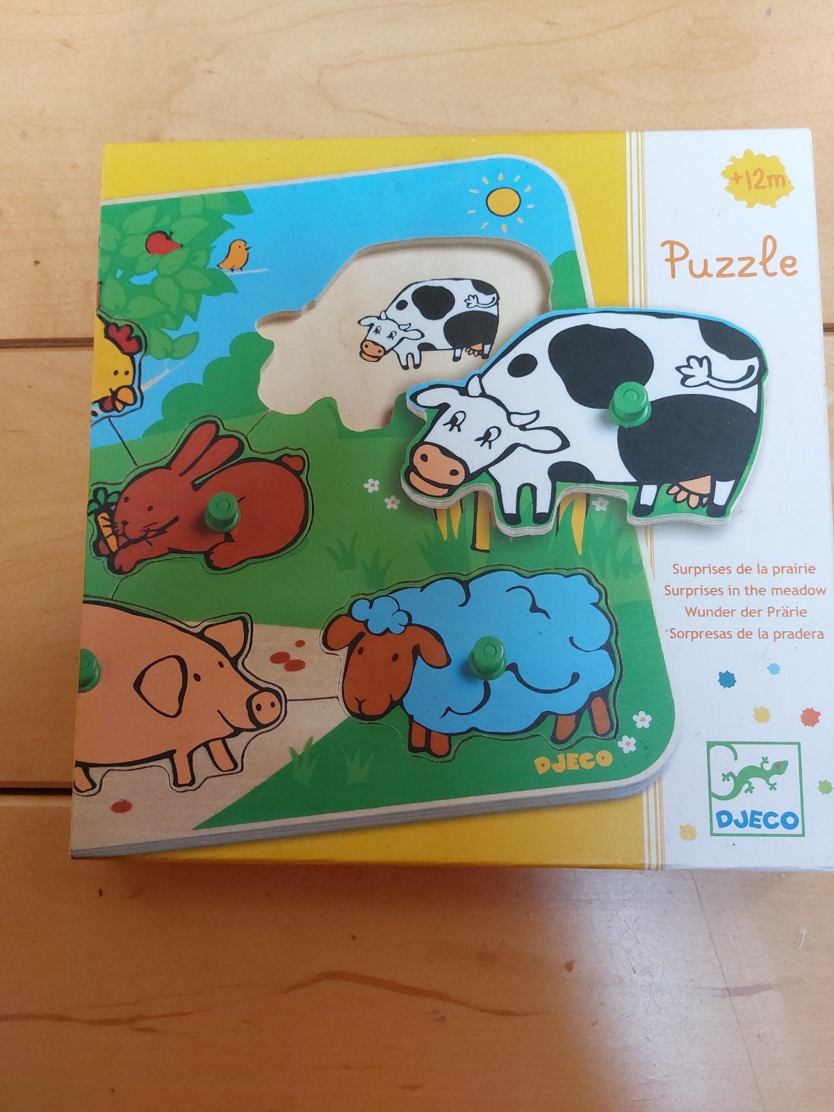 Als nieuw! Djeco houten insteekpuzzel., Ophalen of Verzenden, Minder dan 10 stukjes, Zo goed als nieuw, 6 maanden tot 2 jaar