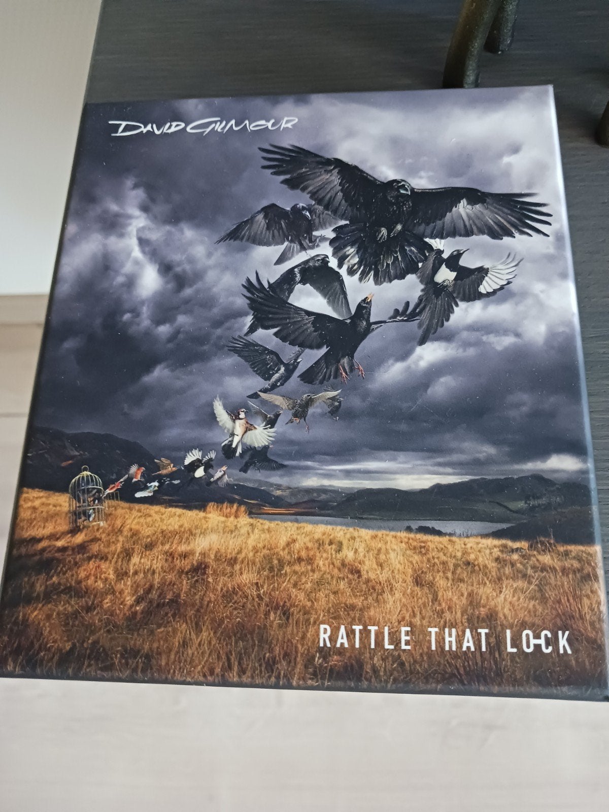 David Gilmour - Rattle That Lock Boxset (CD+DVD), Cd's en Dvd's, Cd's | Pop, Zo goed als nieuw, Ophalen of Verzenden