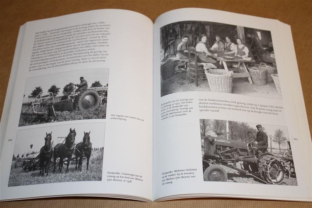 De polder in plaat. De Anna Paulownapolder 1845-2000., Boeken, Geschiedenis | Stad en Regio, Ophalen of Verzenden, Gelezen