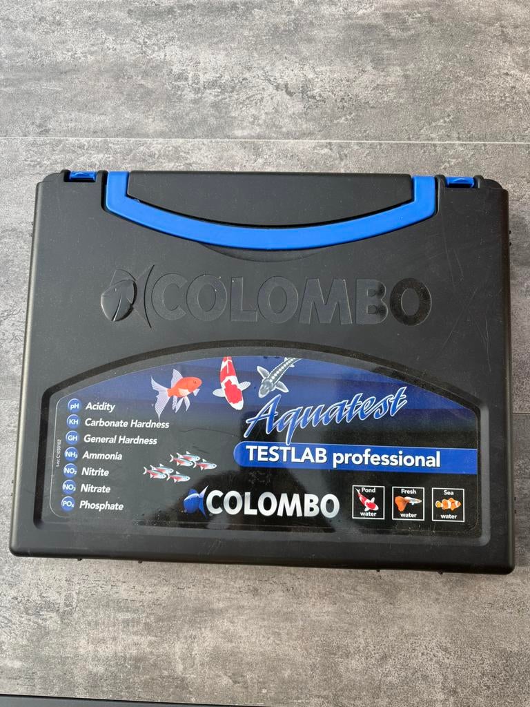 Koi lab Colombo, Overige soorten