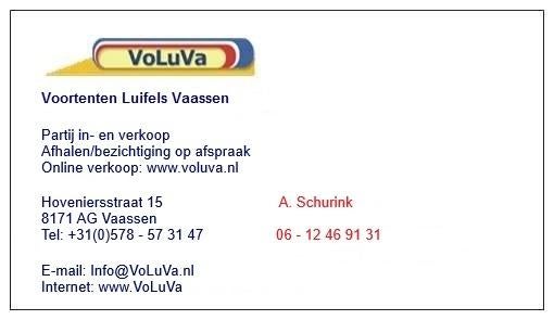 PANORAMALUIFELS VOOR DE KIP CARAVANS, Ophalen of Verzenden, Nieuw, Dorema