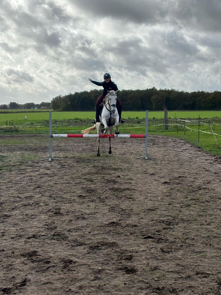 Plekje vrij op super gezellig pensionstal, Weidegang, 2 of 3 paarden of pony's