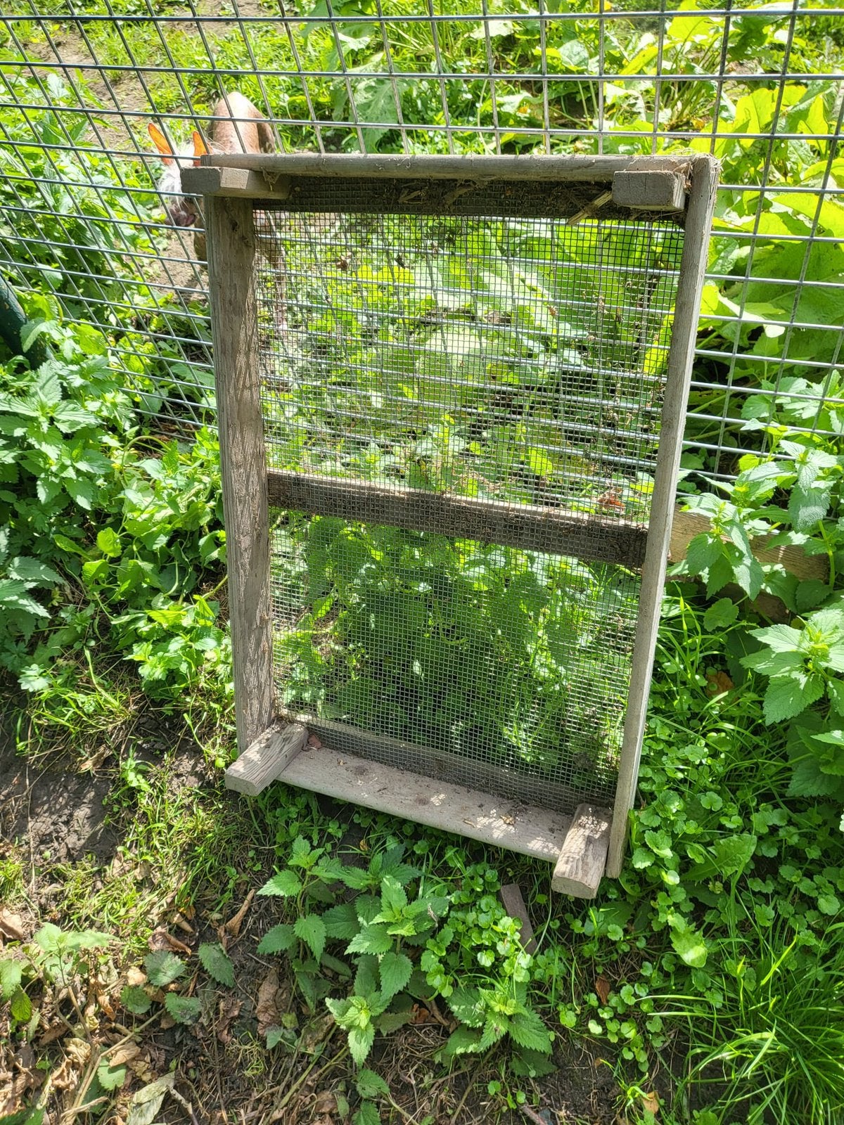 Droogbak, bollenbak x 44   €2 pst, Ophalen, Gehele jaar, Volle zon