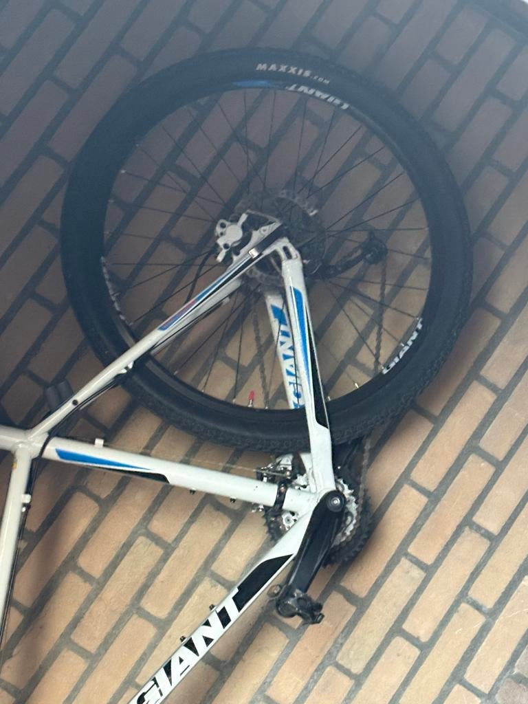 Giant Talon mountainbike frame met wiel, Hardtail, Heren, Zo goed als nieuw, Giant