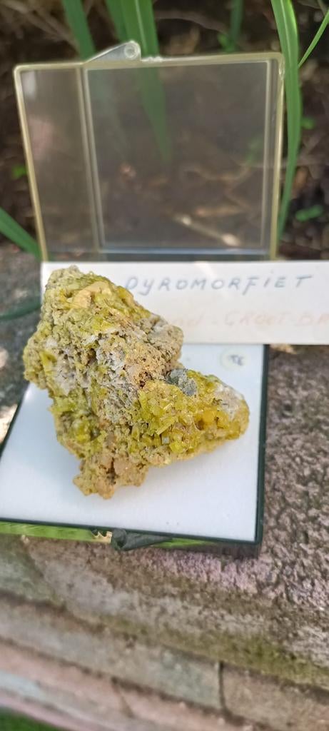 Pyromorfiet Engeland, Ophalen of Verzenden, Fossiel
