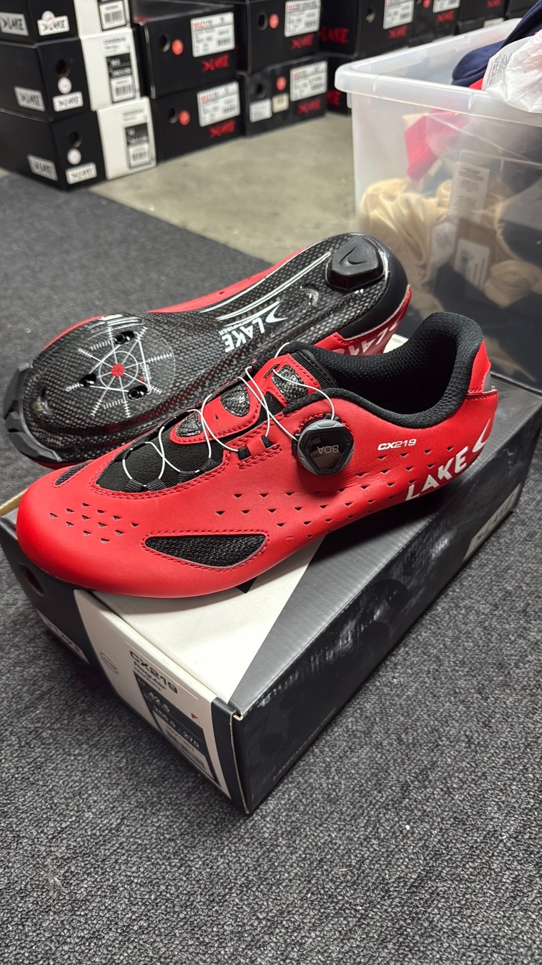 Lake cx219 wielerschoenen nieuw maat 42.5, N, Schoenen, Nieuw, Ophalen of Verzenden