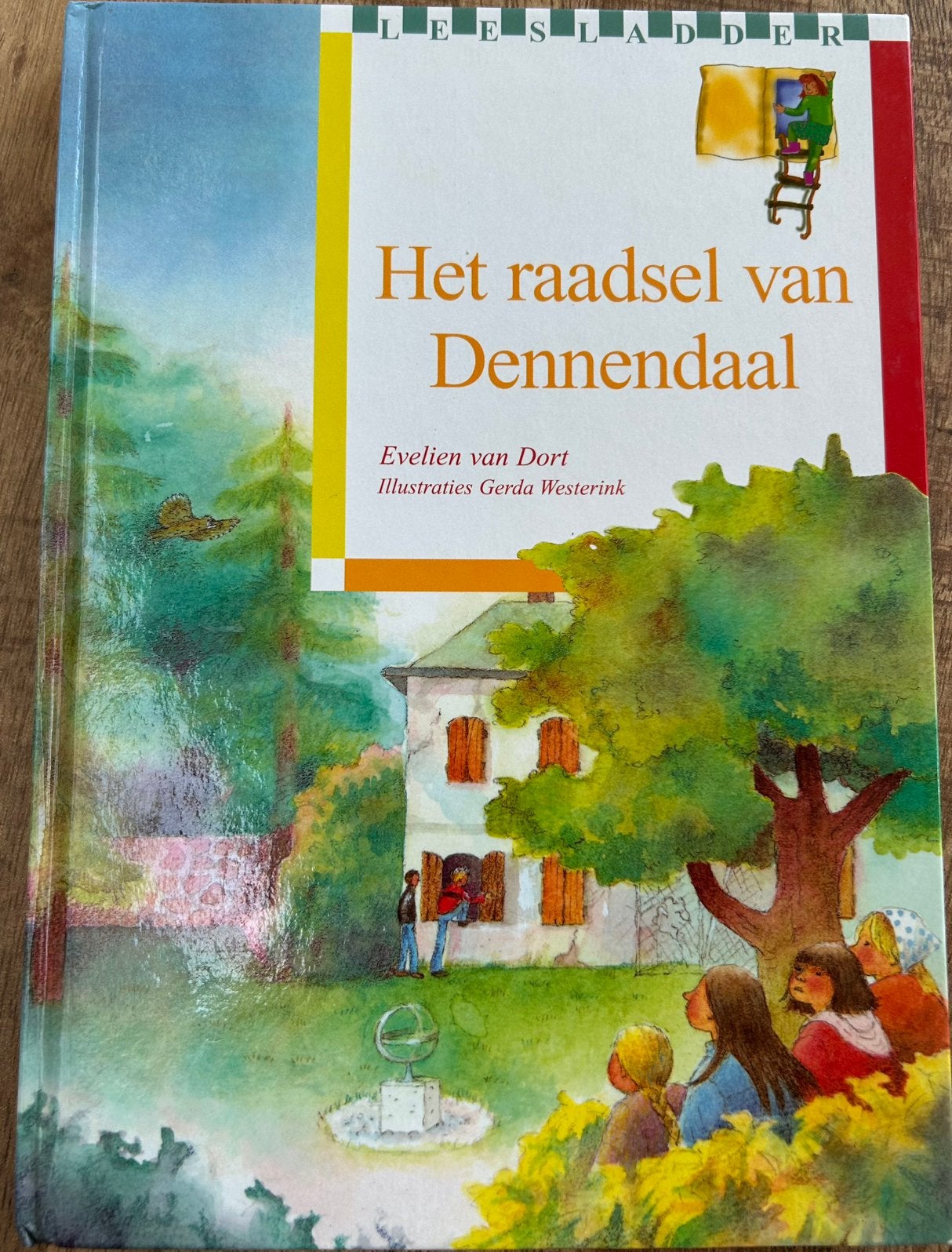 Het raadsel van Dennendaal - Evelien van Dort (Leesladder), Ophalen of Verzenden, Zo goed als nieuw