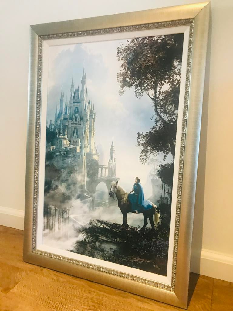Uniek Disney Belle en het Beest schilderij met RVS lijst, Verzamelen, Disney, Ophalen, Assepoester of Belle, Zo goed als nieuw