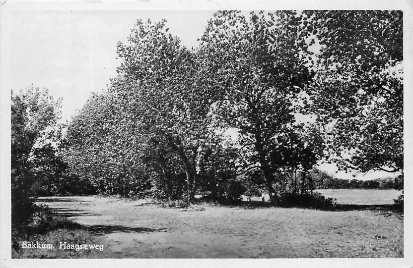 377-264-035 Bakkum Haagseweg, Verzenden, Voor 1920, Noord-Holland