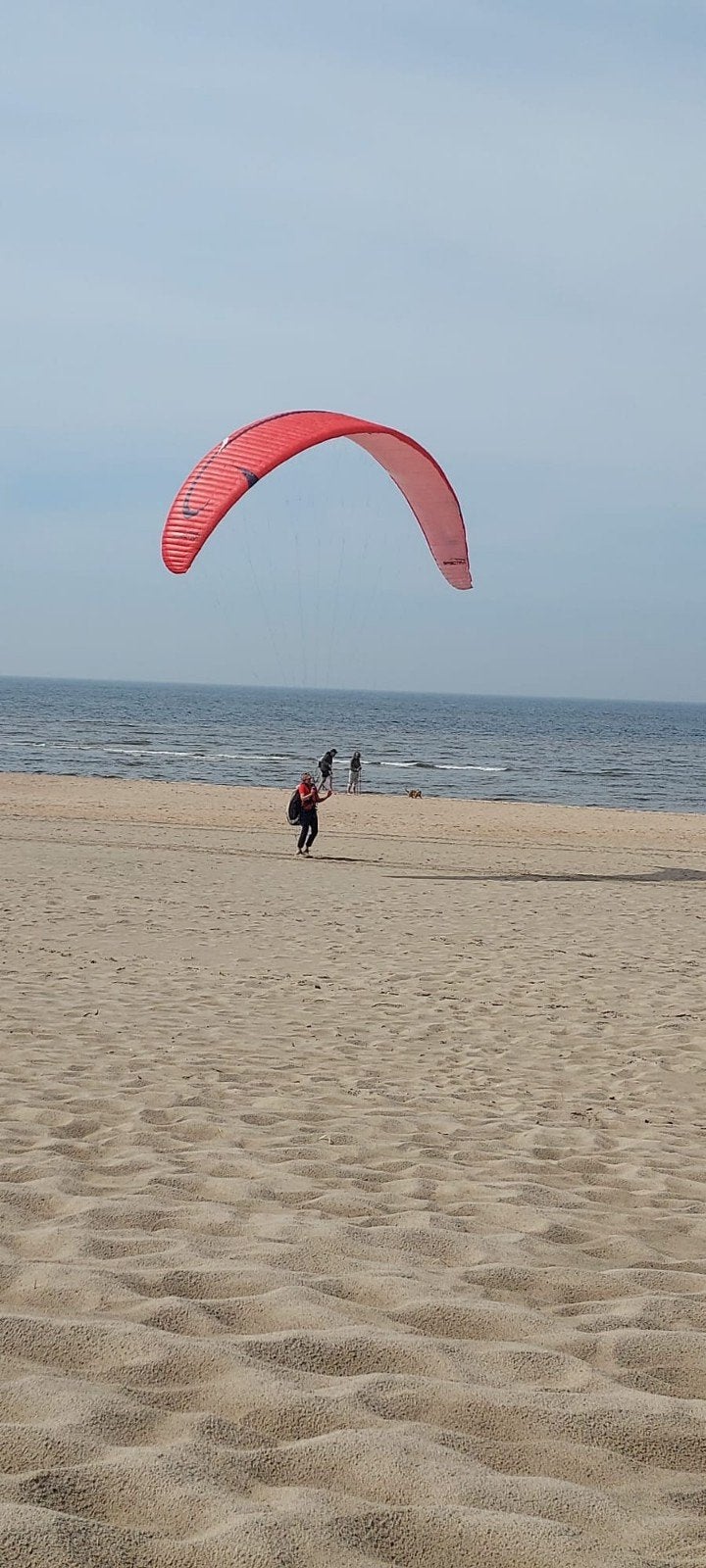 Flow Spectra ML ccc-wing 2019, Ophalen of Verzenden, Scherm