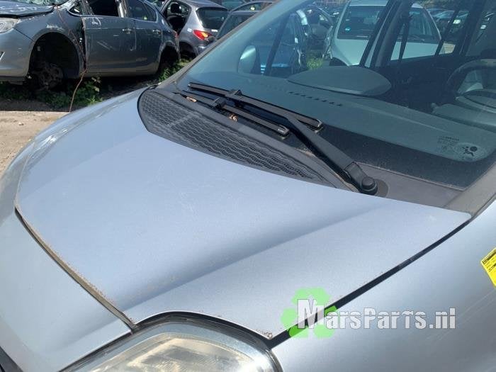 Motorkap van een Renault Modus (TED69), Auto-onderdelen, Gebruikt, -, Renault, -