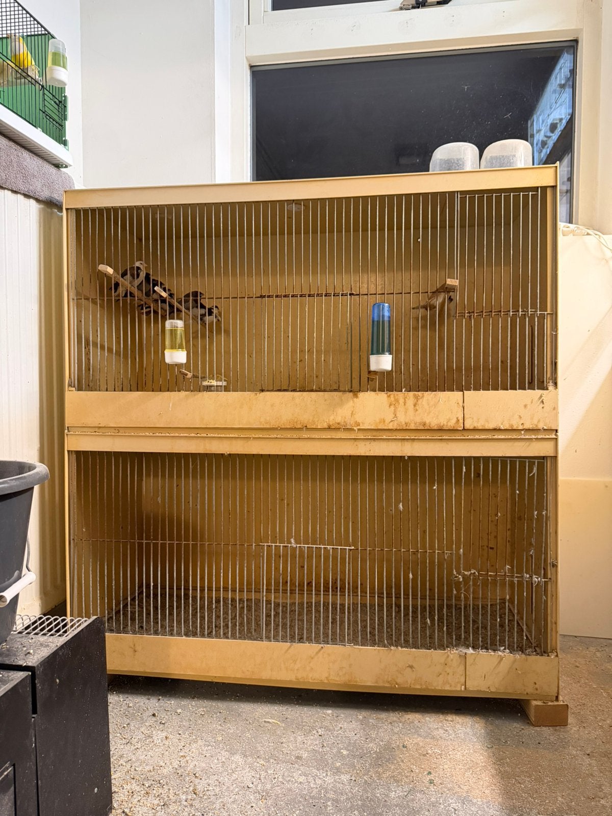 Kunststof kooien, Dieren en Toebehoren, Ophalen, Gebruikt, Kunststof, Broedkooi of Kweekkooi