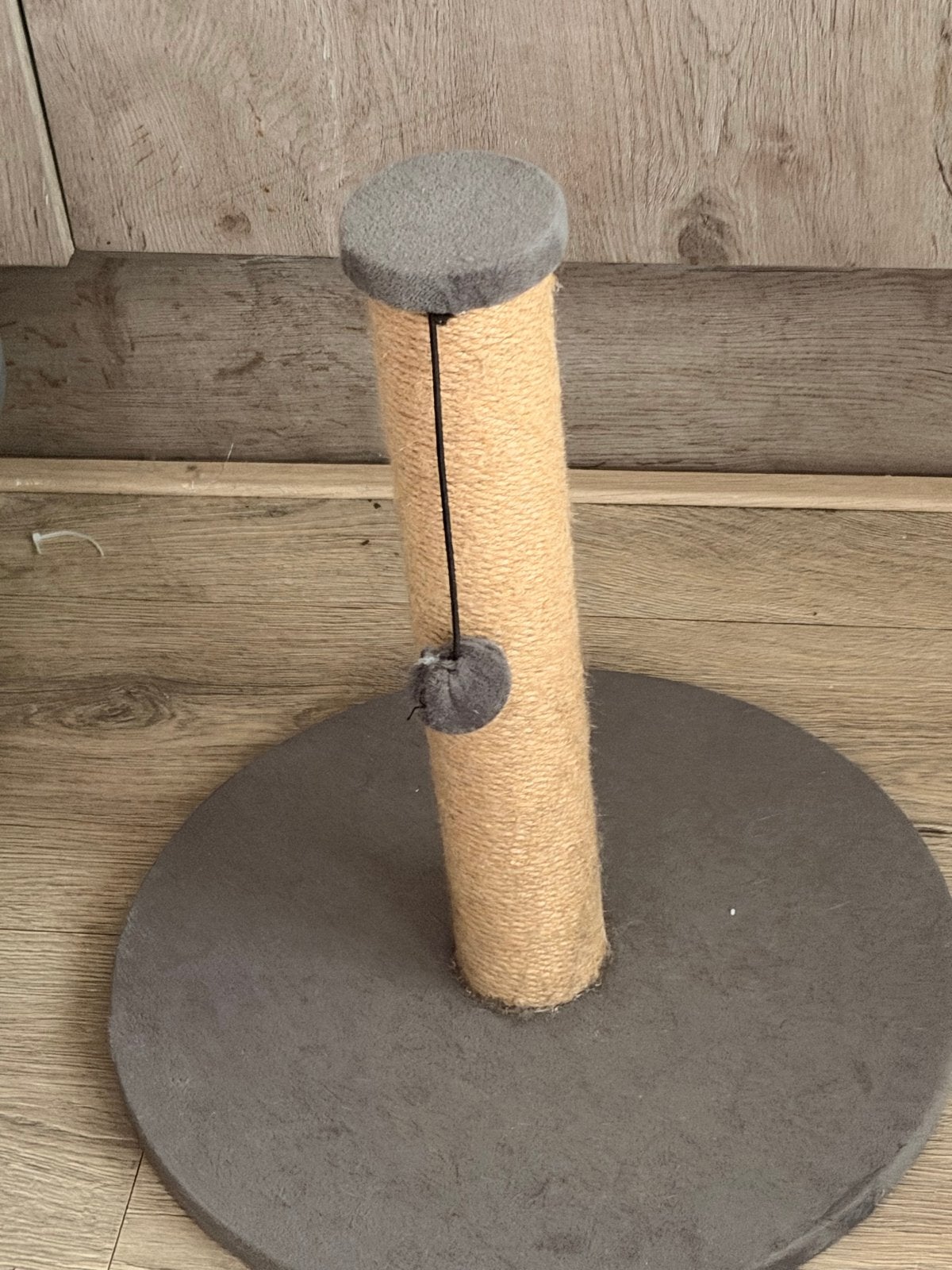 Kittens/spullen, Ophalen