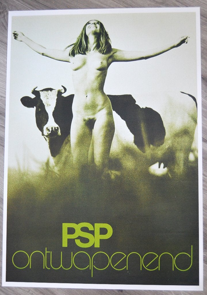 Hendrik Jan Koldeweij - 'PSP Ontwapenend', Verzamelen, Posters, Ophalen of Verzenden, Gebruikt, A1 t/m A3, Film en Tv