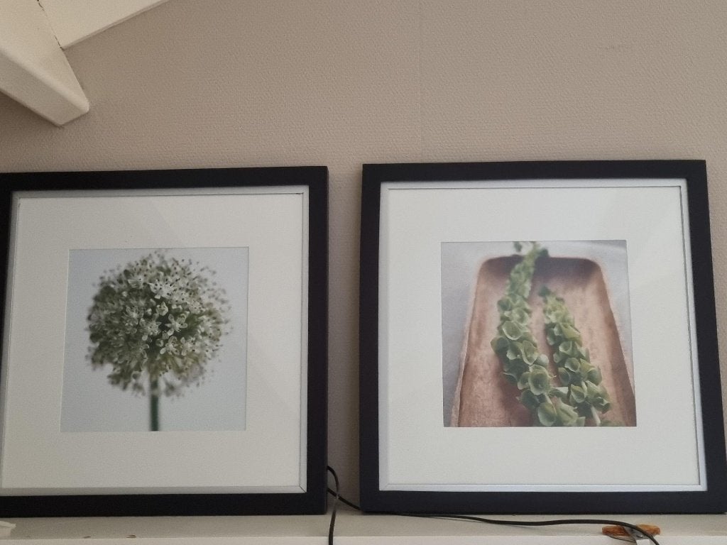 2 schilderijen van Ikea, Ophalen, 50 – 75, Gebruikt, Schilderij
