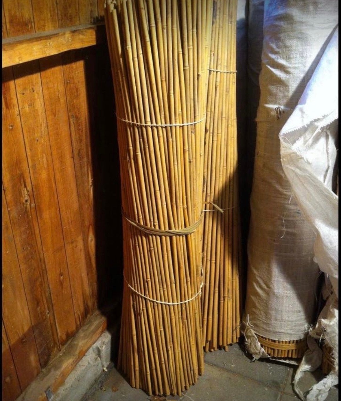 Bamboe stokken 120 cm, dikte 12-14 mm, Tuin en Terras, Planten | Tuinplanten, Ophalen, Bloeit niet, Overige soorten, Halfschaduw