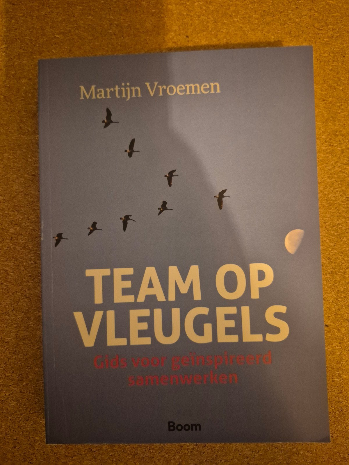 Team op Vleugels, Boeken, Ophalen of Verzenden, Zo goed als nieuw, Martijn Vroemen, Nederland