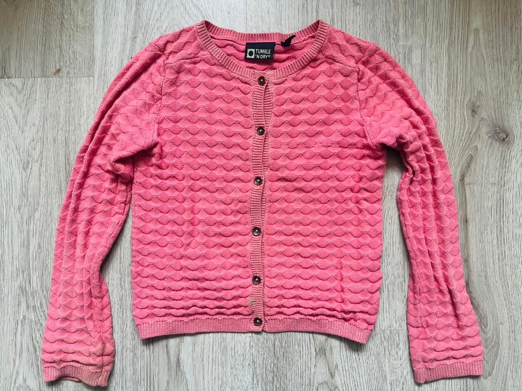 11 stuks: Korte broeken/shirts/vest/jas/jurk meisjes 110/116, Ophalen of Verzenden, Gebruikt, Maat 110