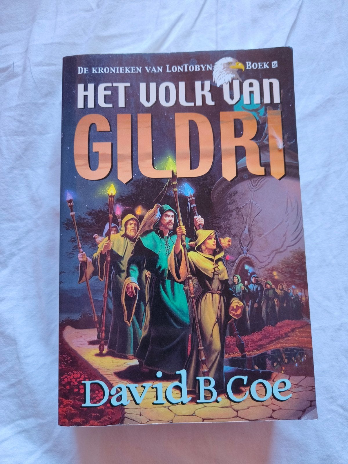 GRATIS OPHALEN Diverse fantasy boeken, Ophalen, Gelezen